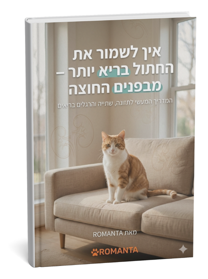 מבפנים החוצה