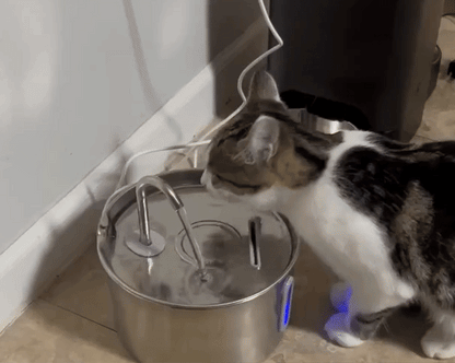 המזרקה של ROMANTA™