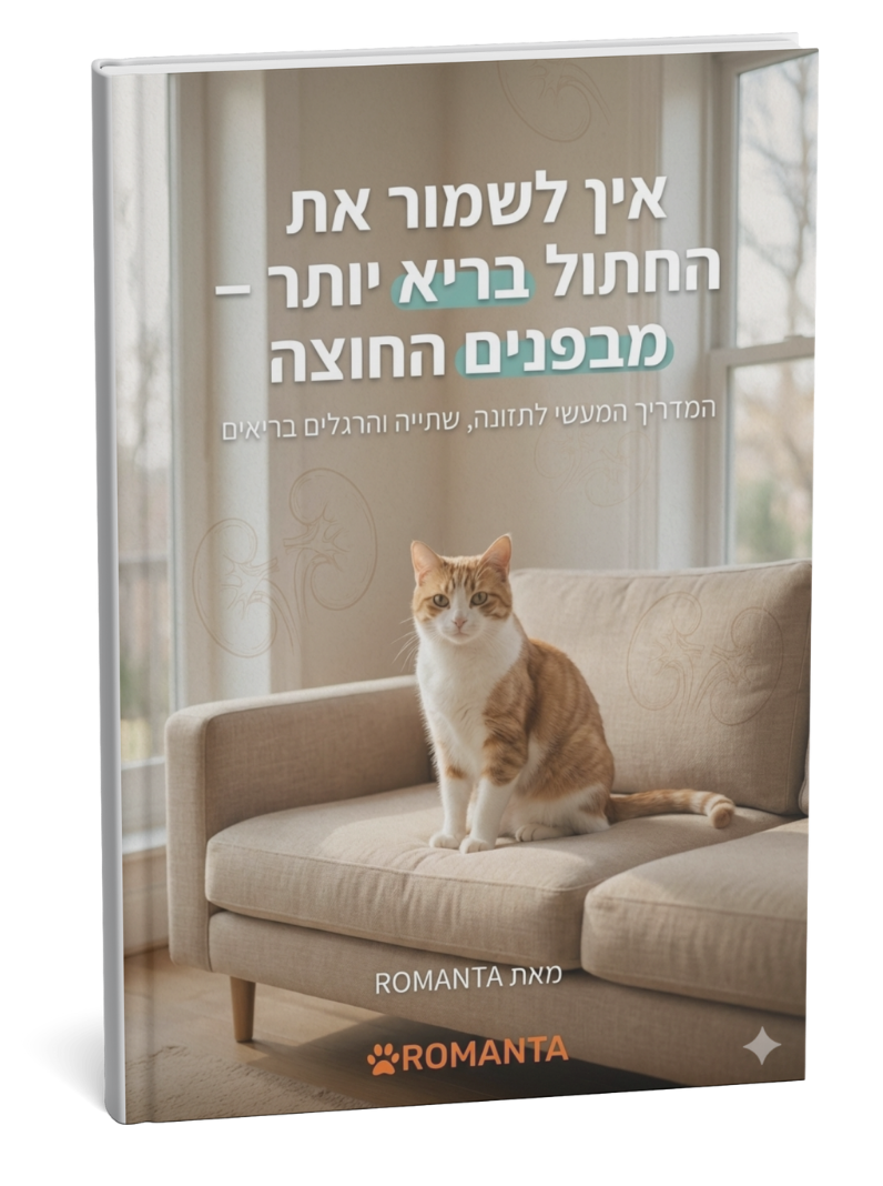 מבפנים החוצה