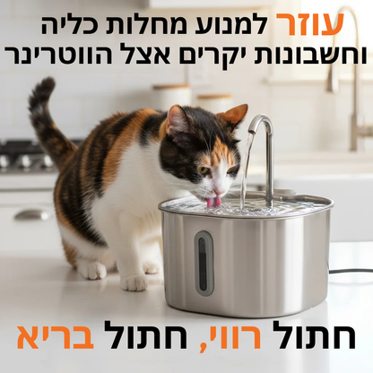 המזרקה של ROMANTA™