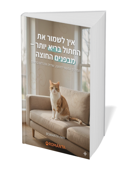 מבפנים החוצה