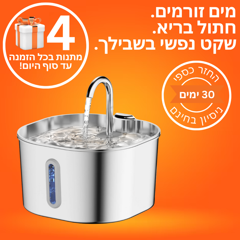 המזרקה של ROMANTA™