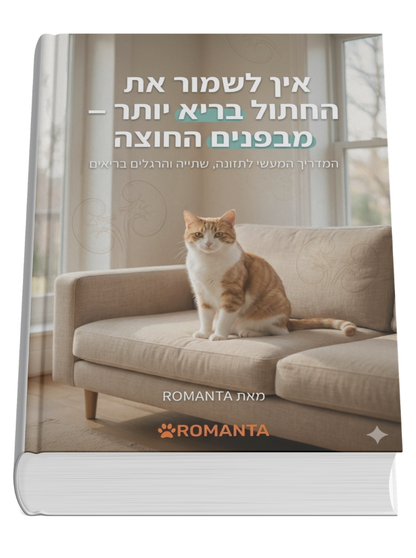 מבפנים החוצה