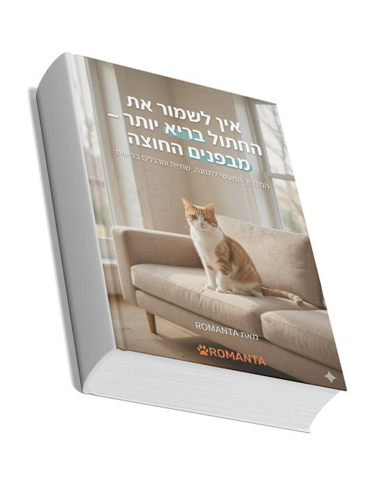 מבפנים החוצה