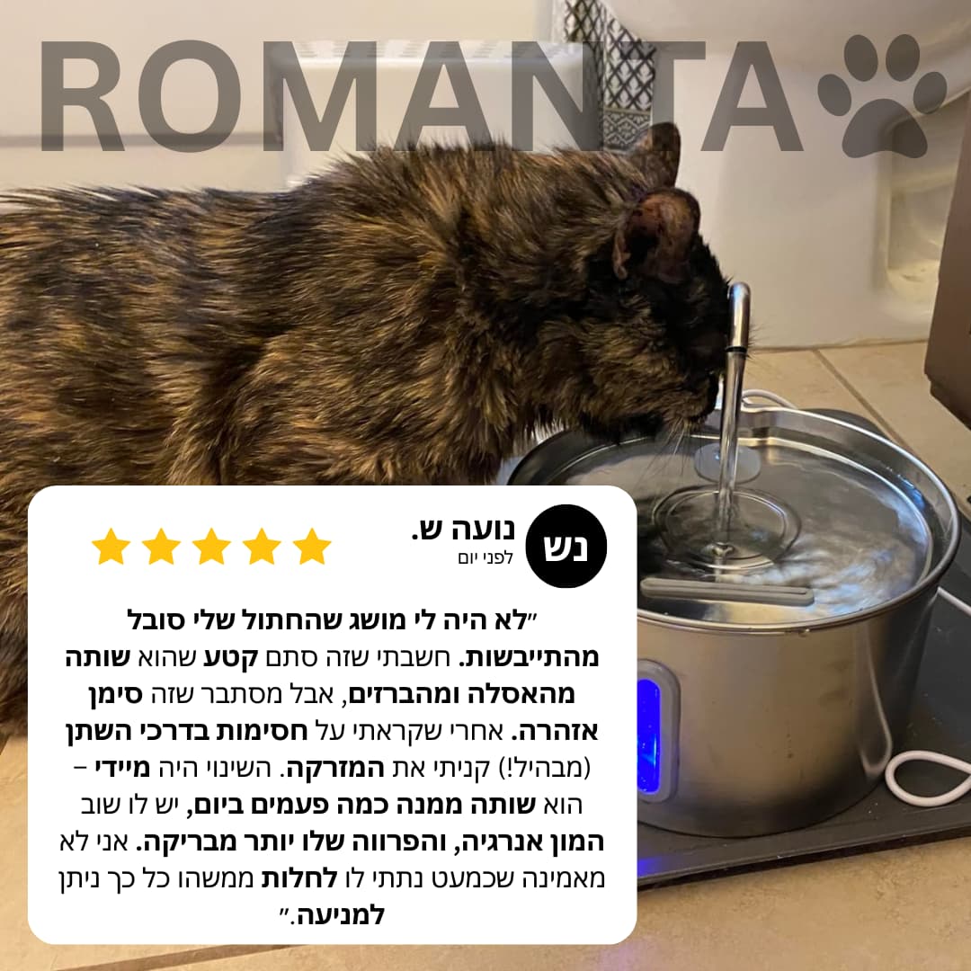 מזרקת המים המהפכנית - WATER+