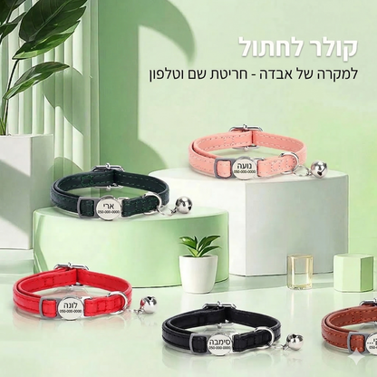קולר בטיחות ROMANTA לחתול עם שם ומספר טלפון