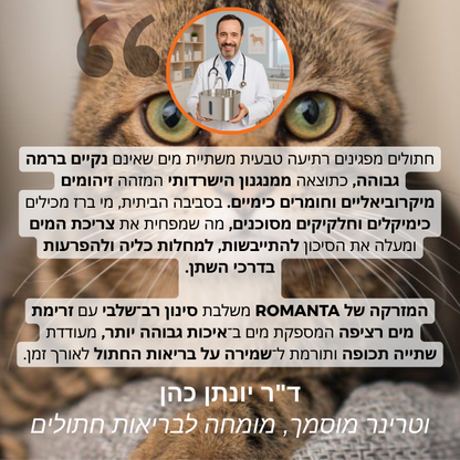 המזרקה של ROMANTA™