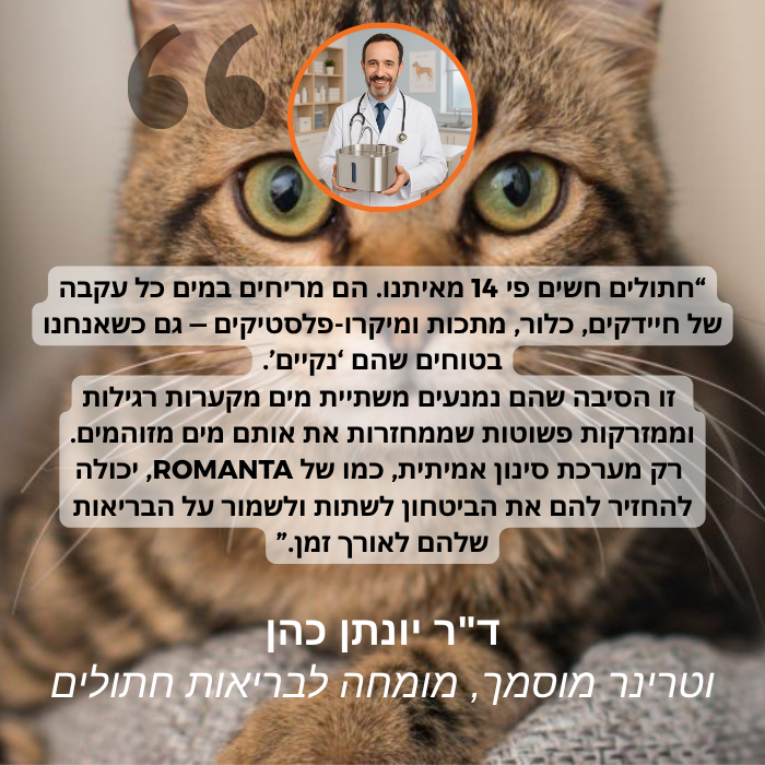 המזרקה של ROMANTA™